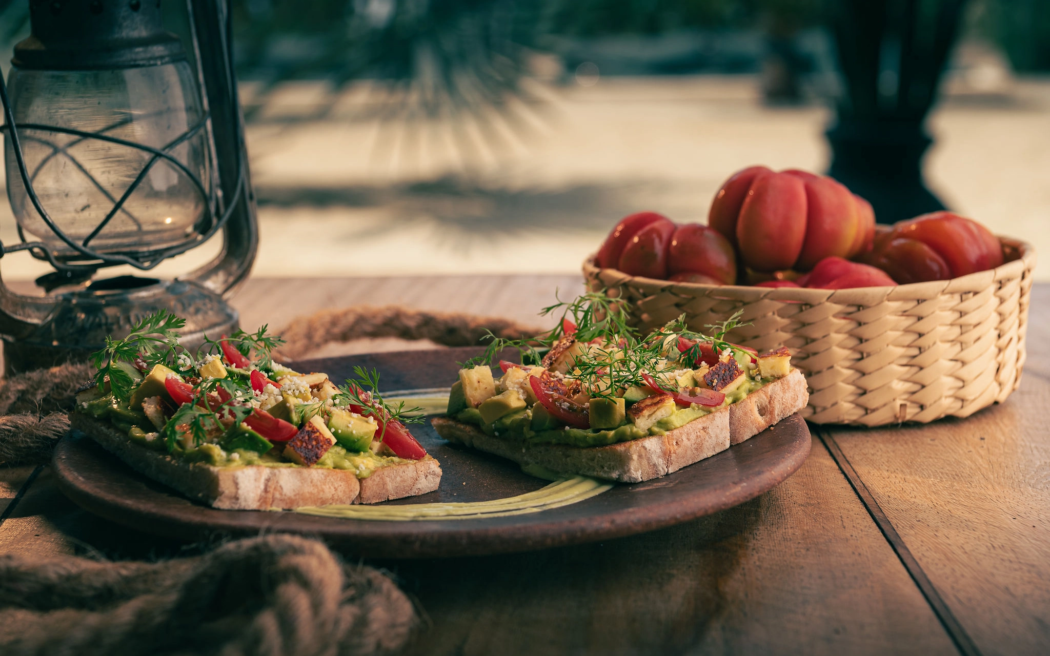 Modern Oaxacan coastal dish at Mesa Del Sol restaurant, Casa Yuma
